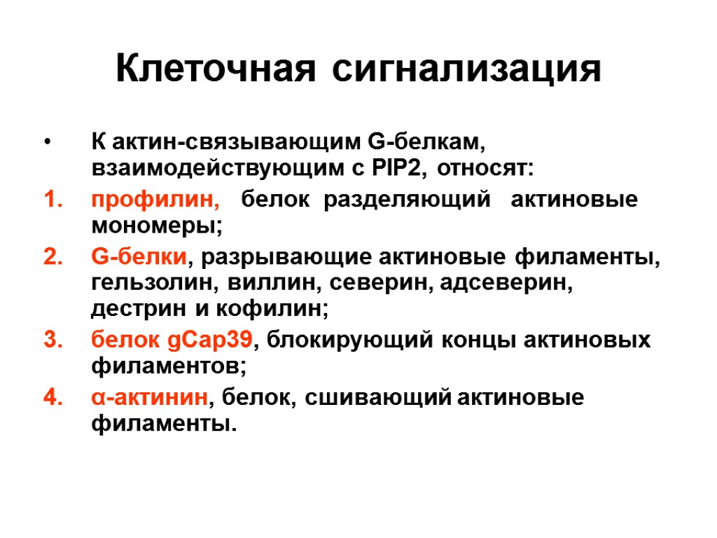 Клеточная сигнализация К актин-связывающим G-белкам, взаимодействующим с РIР2, относят: профилин, белок разделяющий актиновые мономеры;